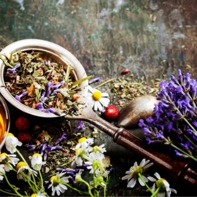 Holistic Healing: Restoring Balance in Body, Mind, and Spirit